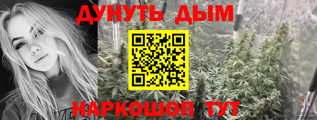 Конопля конопля Аргун