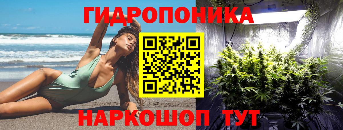 Марихуана планчик  Вход с VPN  Каннабис тримм  Марихуана гибрид  Аргун  Бошки марихуана сатива 